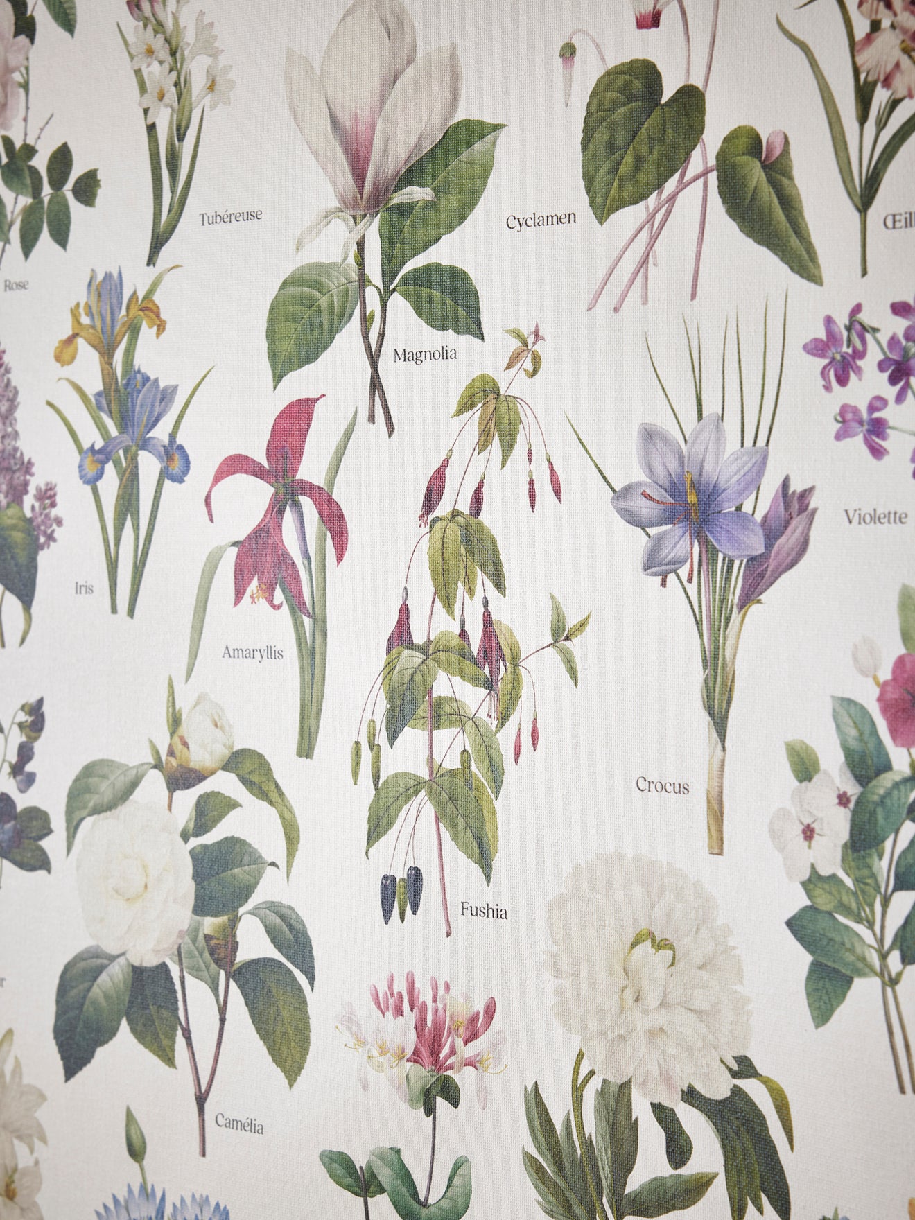 Affiche "Bloemen" - Collectie Les Jolies Planches