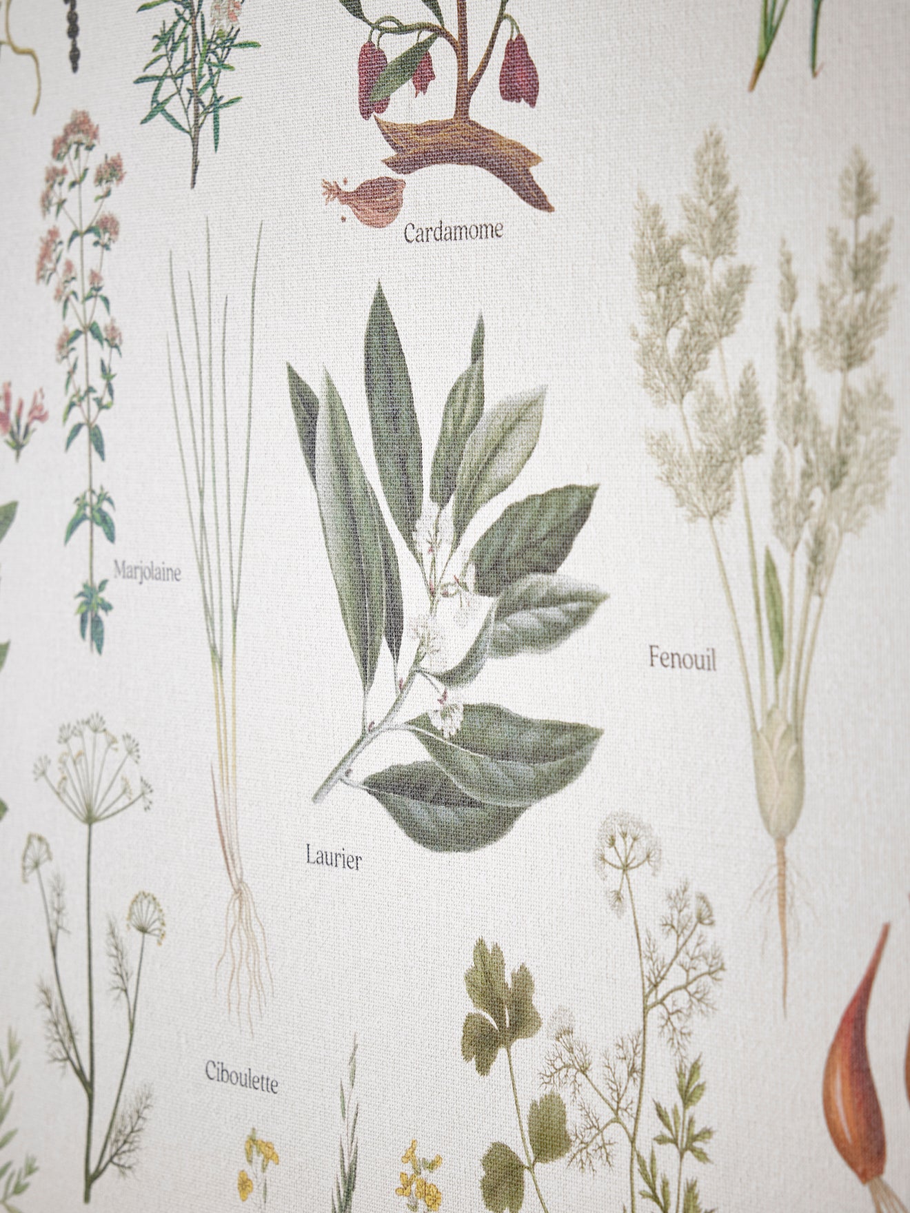 Affiche "Tuinplanten" - Collectie Les Jolies Planches