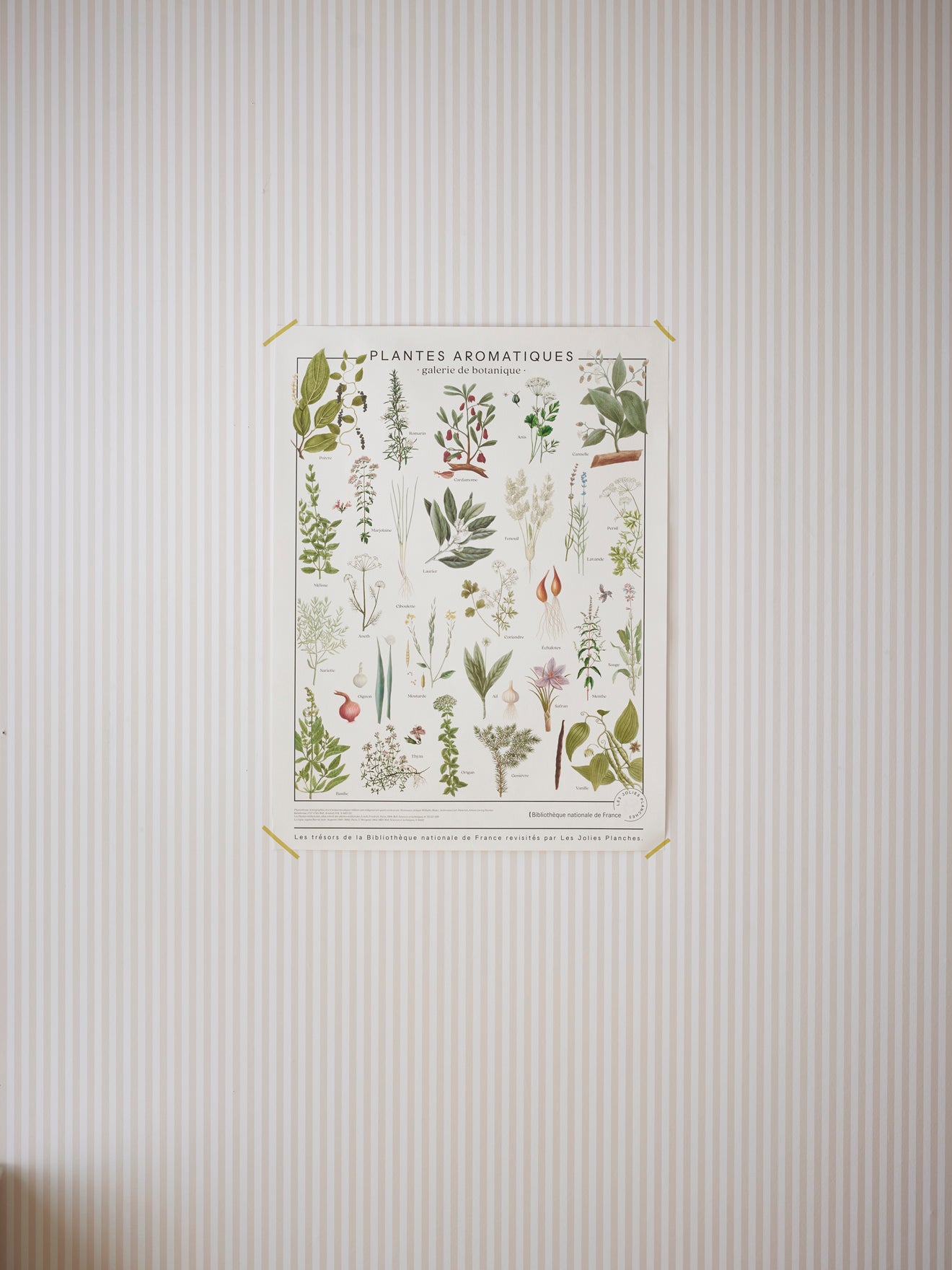 Affiche "Tuinplanten" - Collectie Les Jolies Planches