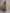 Parka longue matelassée détails velours femme