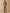 Gilet boutonné femme - Collection Cachemire