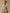 Gilet boutonné femme - Collection Cachemire
