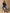 Damesrolkraagtrui in geribd tricot - RWS*-wol