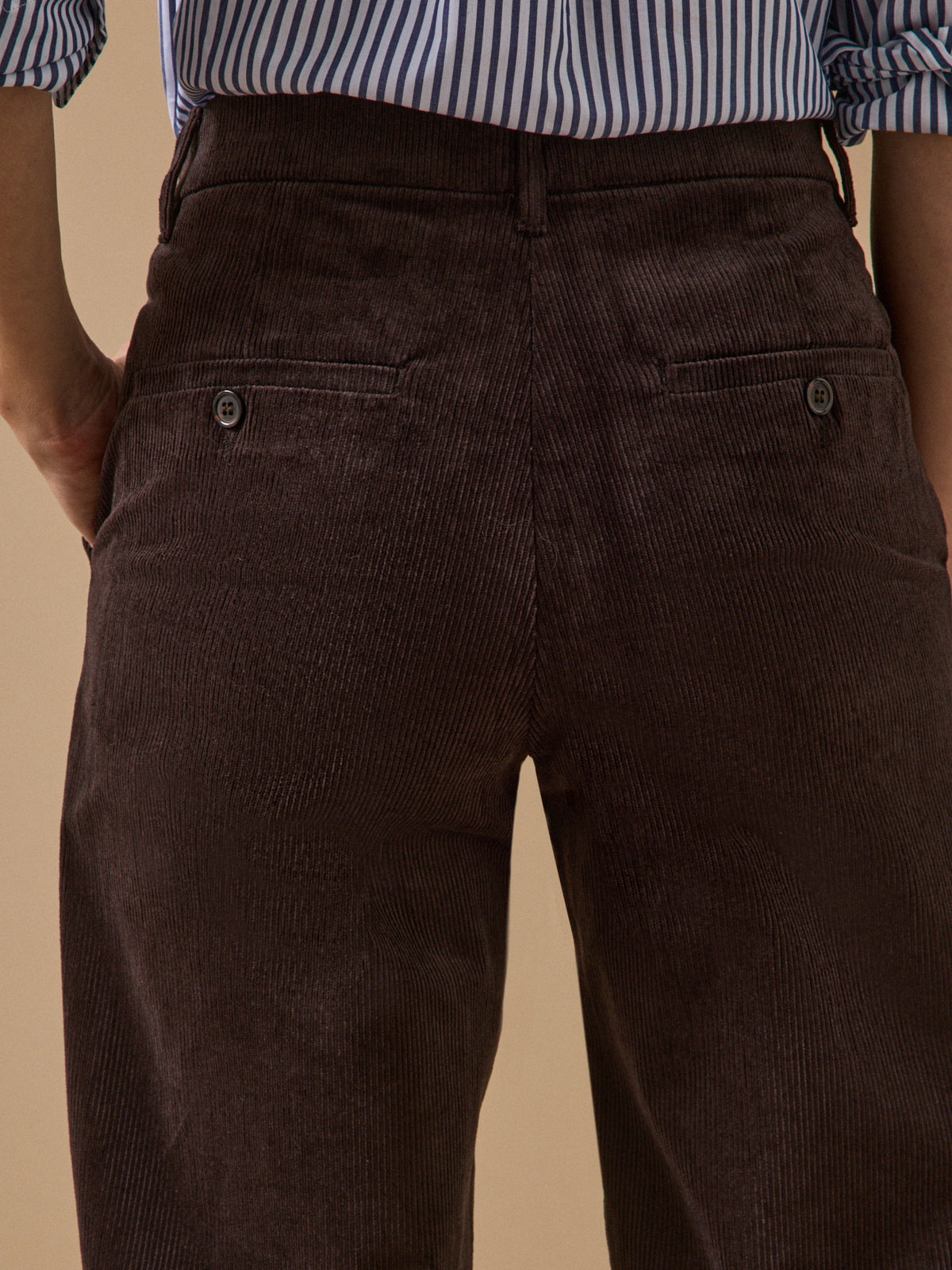 Pantalon chino velours femme Marina