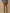 Chino velours regular homme