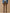 Chino velours regular homme