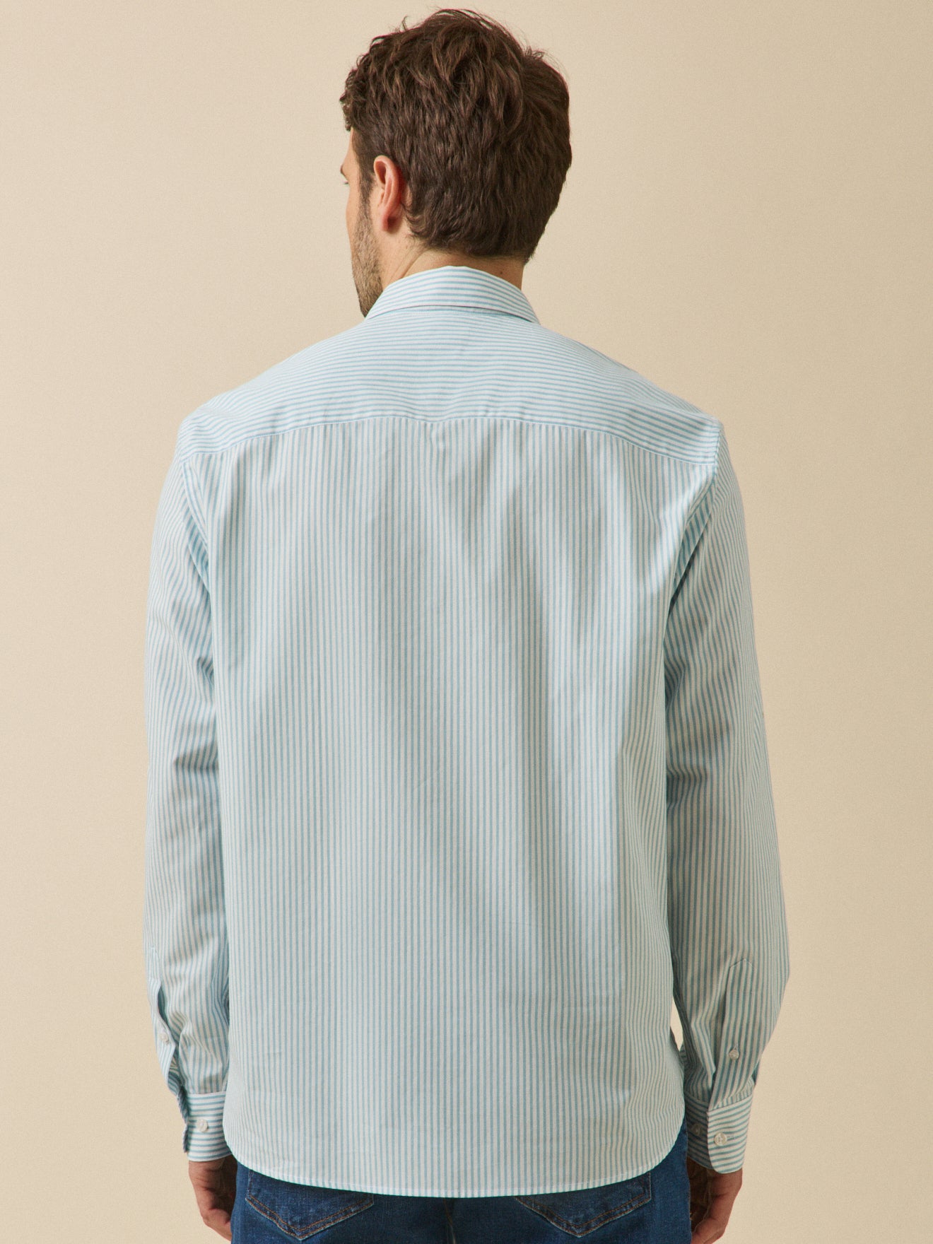 Hedendaags gestreept herenhemd