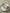 Servetten in Indiase stof, set van 4