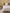 Housse de couette percale de coton "Far West"
