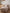 Housse de couette en gaze de coton "Puglia"