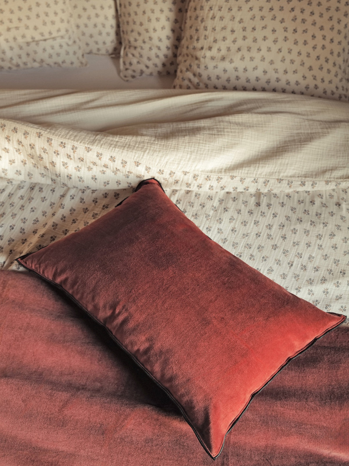 Housse de coussin en velours