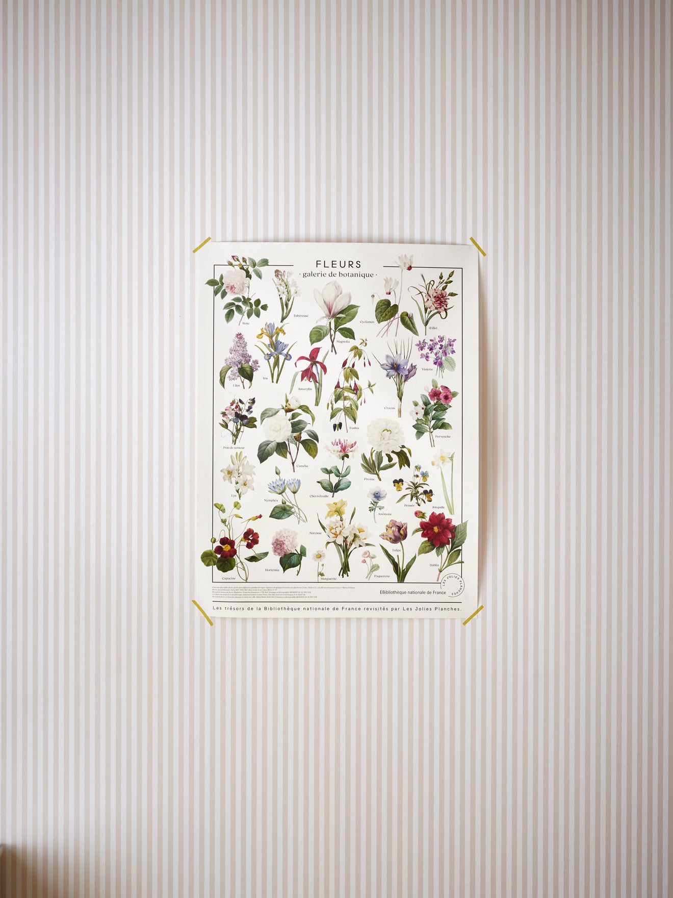 Affiche "Bloemen" - Collectie Les Jolies Planches