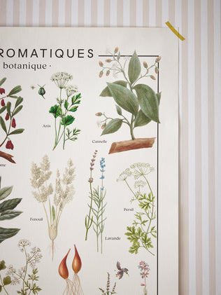Affiche "Tuinplanten" - Collectie Les Jolies Planches