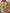 Affiche Jardin - Collection Les Jolies Planches