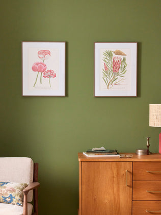 Affiche Scolimoce - Collection Les Jolies Planches