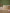 Platte borden "Marrakesh", set van 6 - Costa Nova collectie