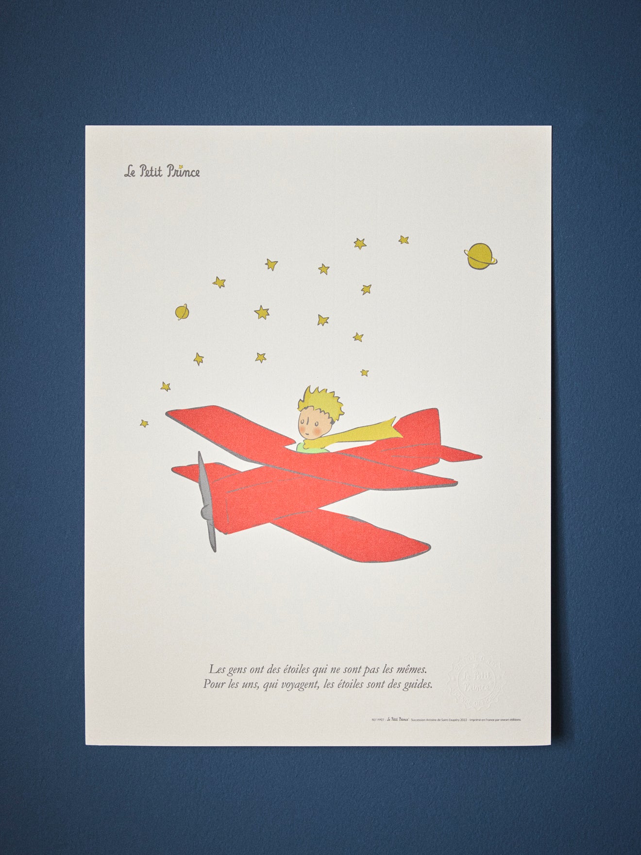 Poster Petit Prince Vliegtuig - Oneart