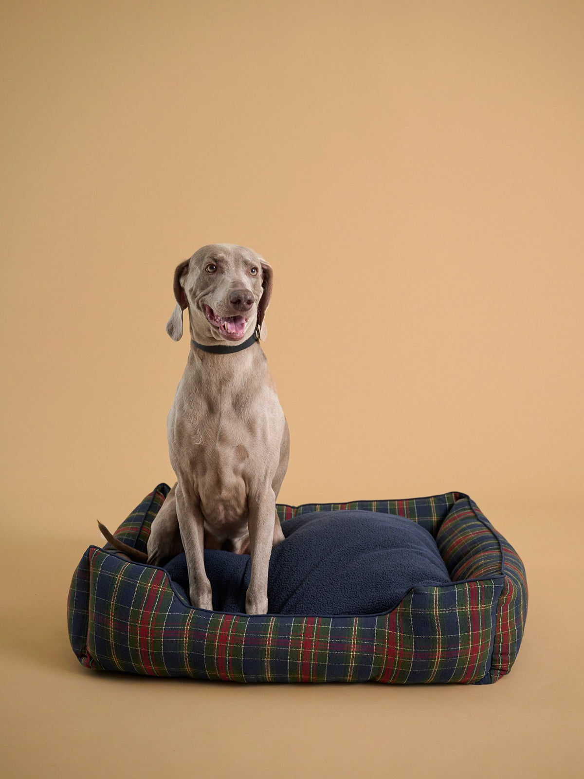 Panier pour chien grande taille - Collection Fine Truffe