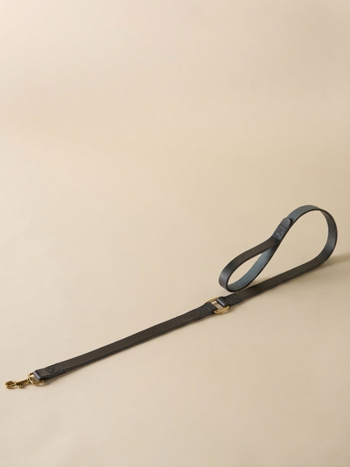 Laisse pour chien en cuir - Collection Fine Truffe