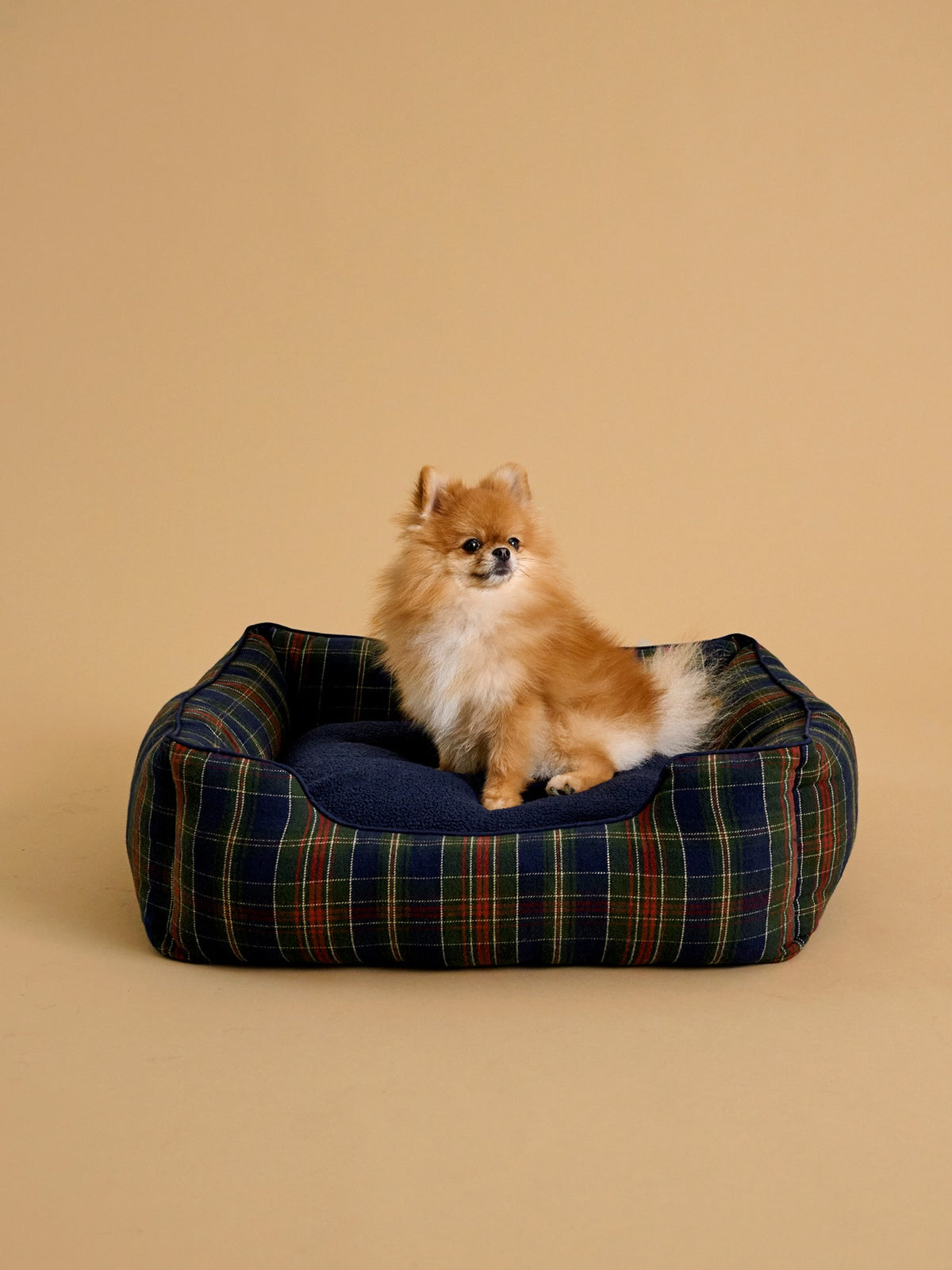 Panier pour chien taille moyenne - Collection Fine Truffe