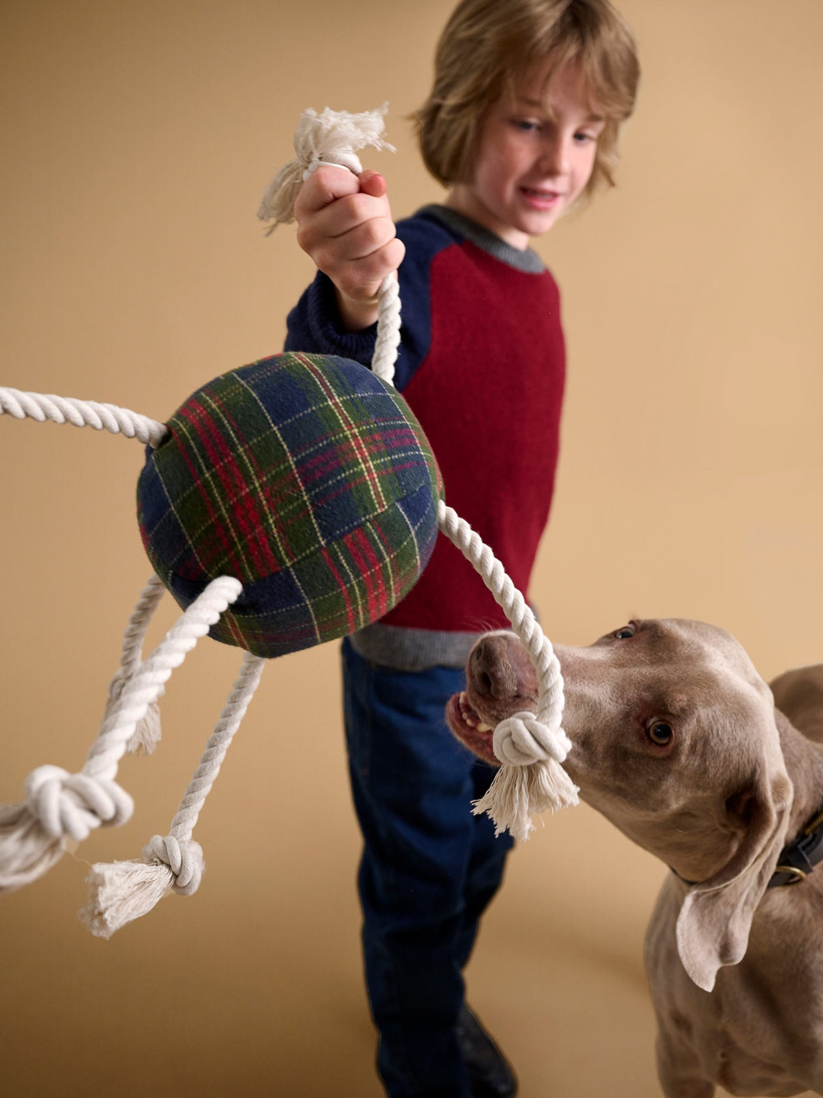 Balle pour chien motif tartan - Collection Fine Truffe