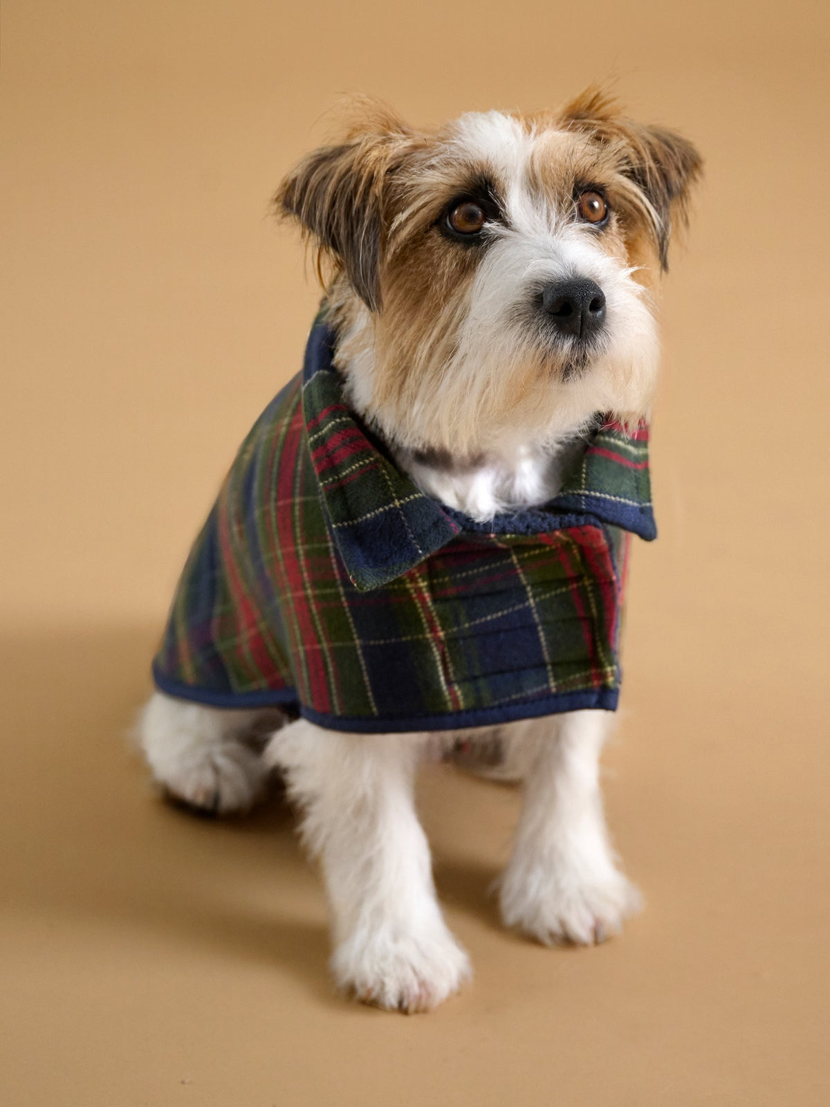 Manteau pour chien doublé  - Collection Fine Truffe