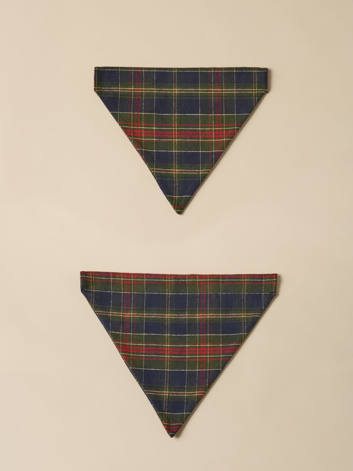 Bandana pour chien - Collection Fine Truffe