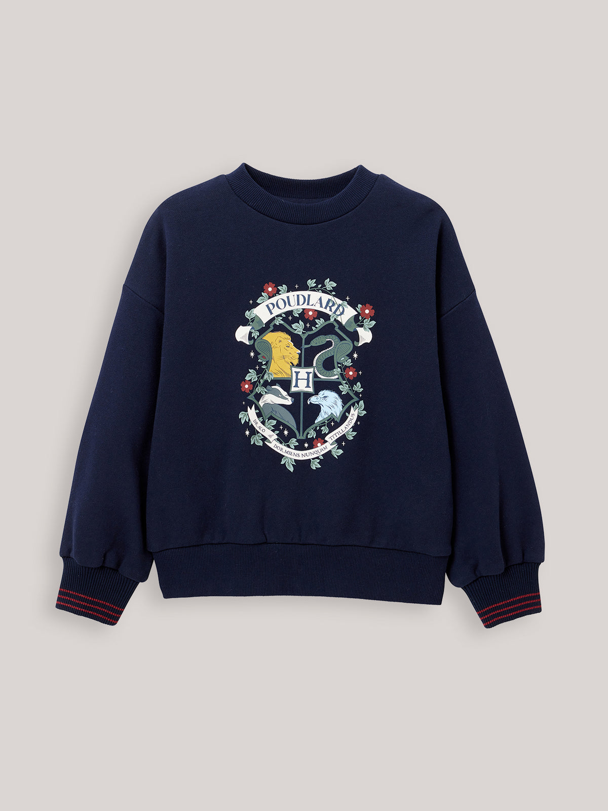 Sweater, Harry Potter collectie - Biokatoen