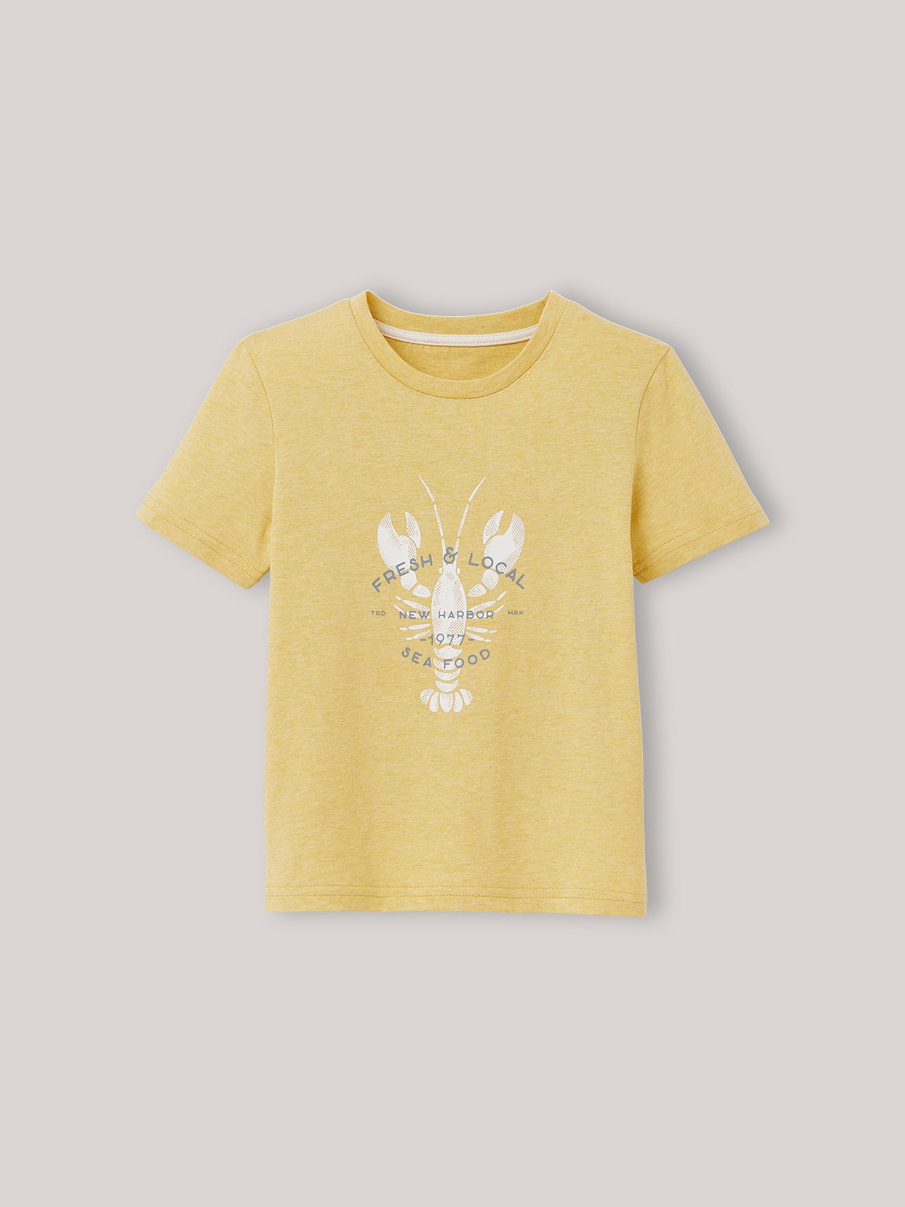 Chiné jongensshirt - Biokatoen