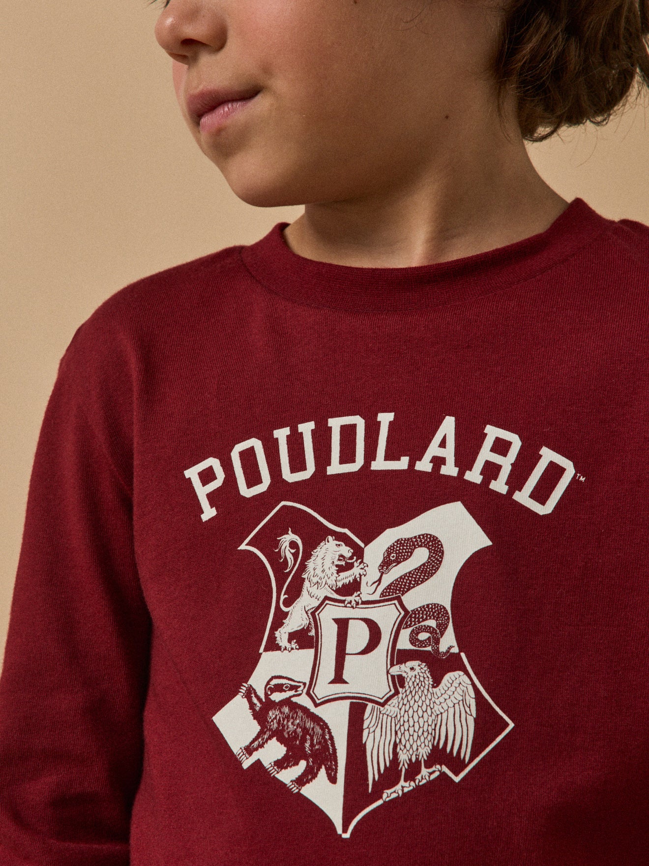 Kindershirt, Harry Potter collectie - Biokatoen
