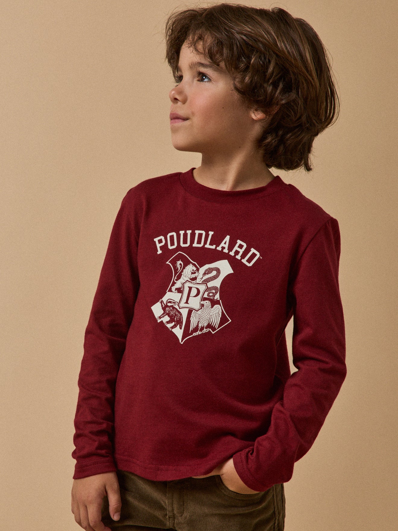 Kindershirt, Harry Potter collectie - Biokatoen