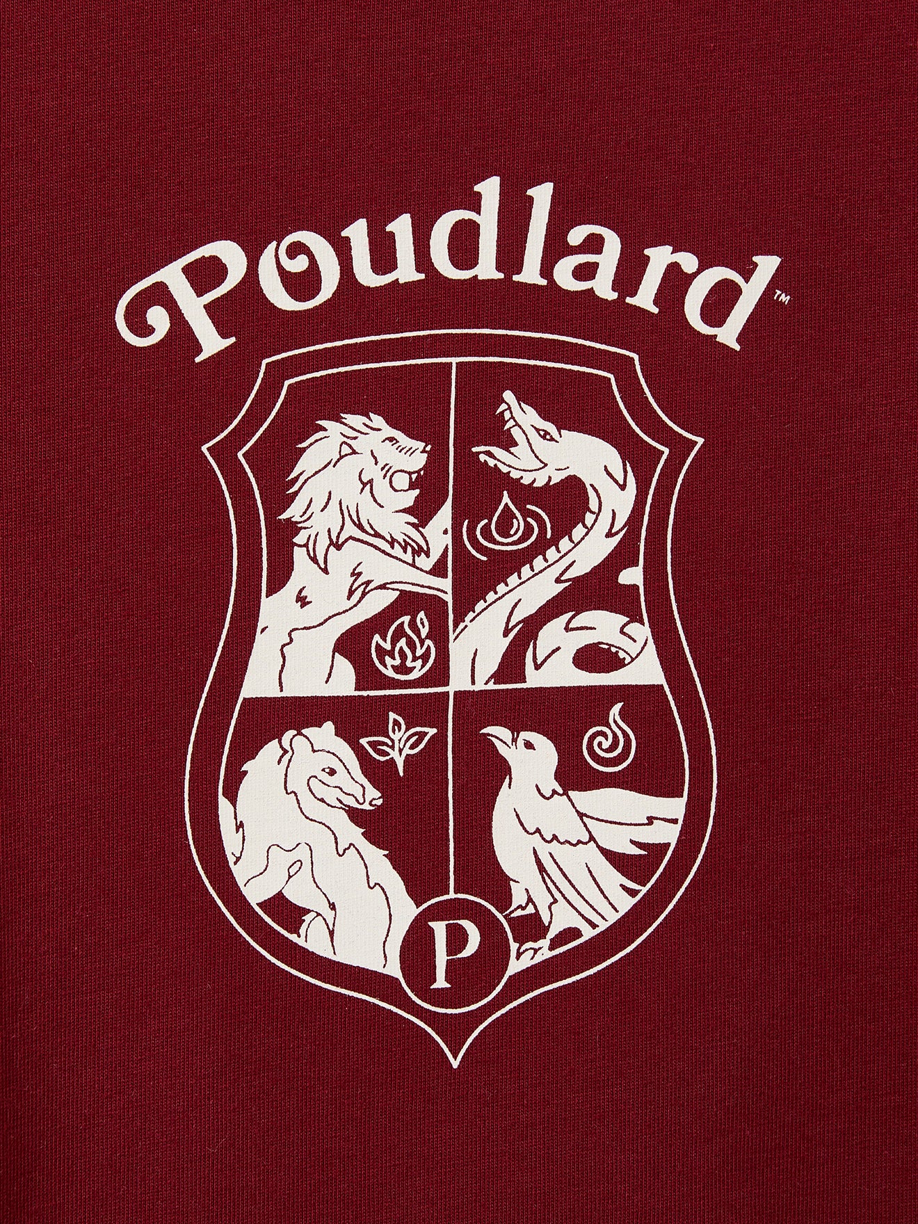 Kindershirt, Harry Potter collectie