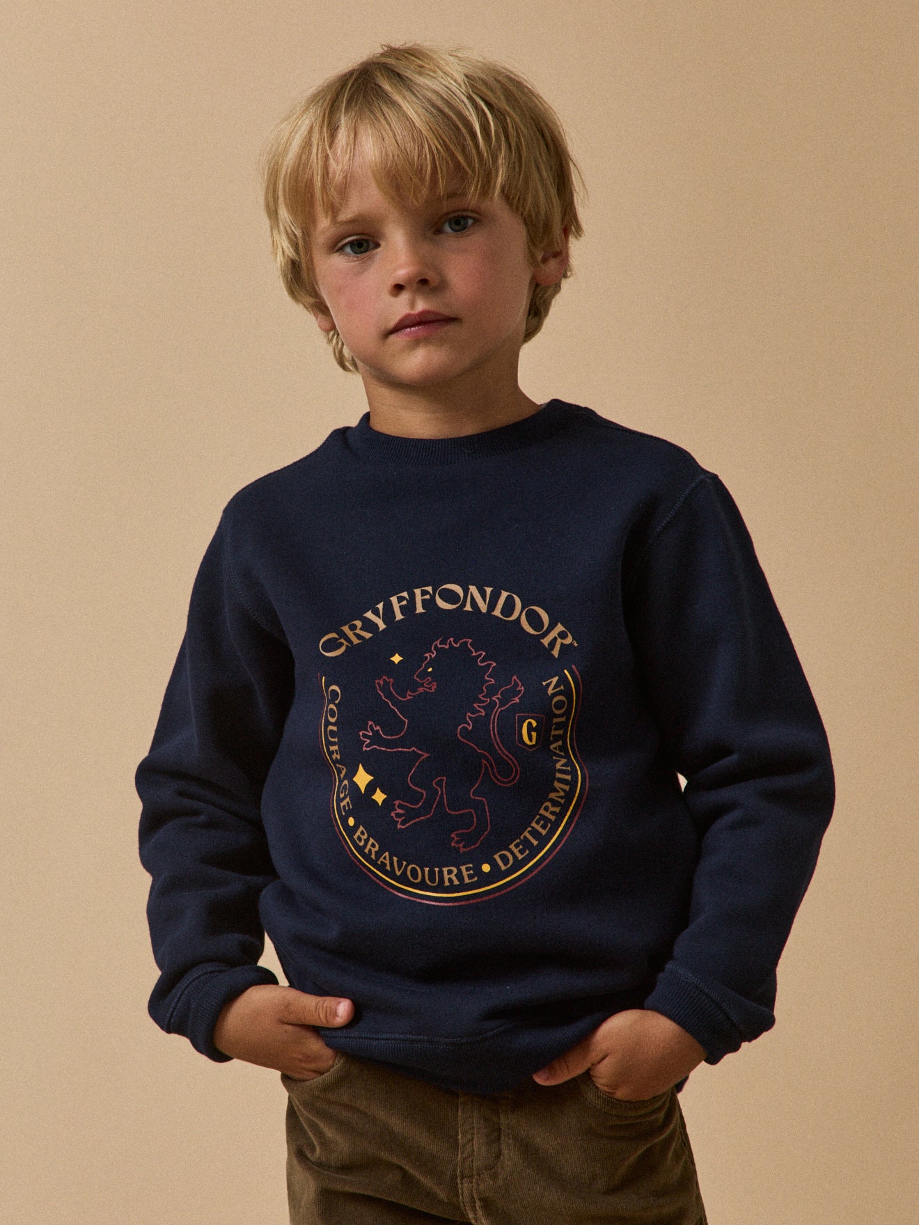 Kindersweater, Harry Potter collectie