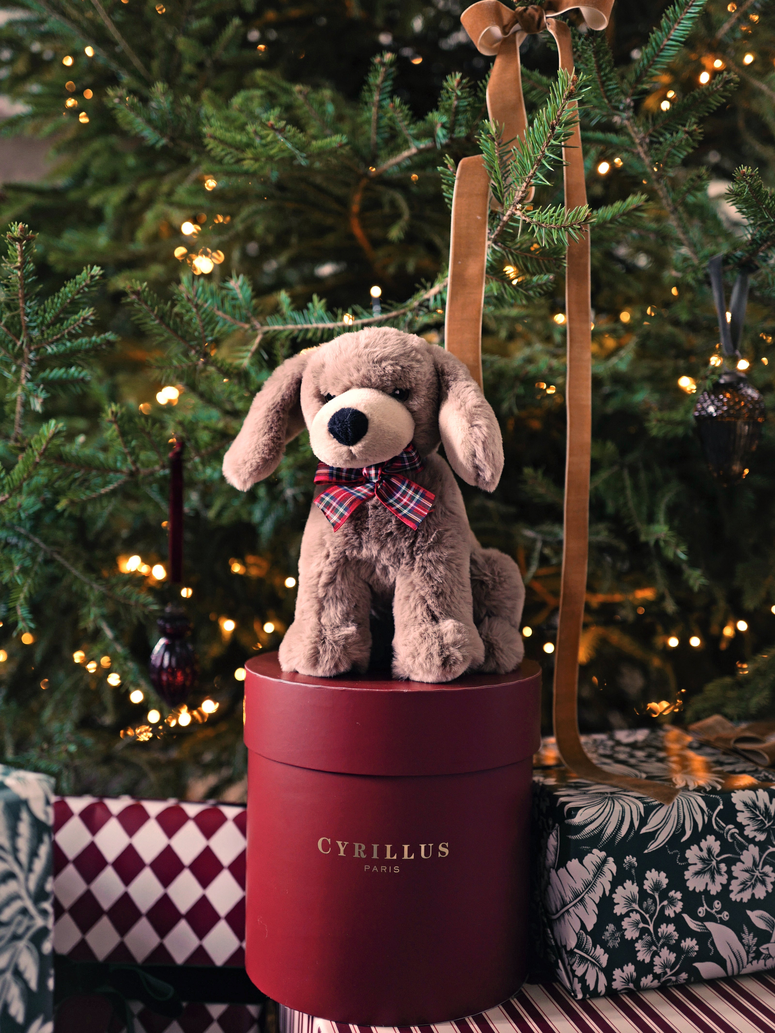 Knuffelhond - Solidariteitsactie