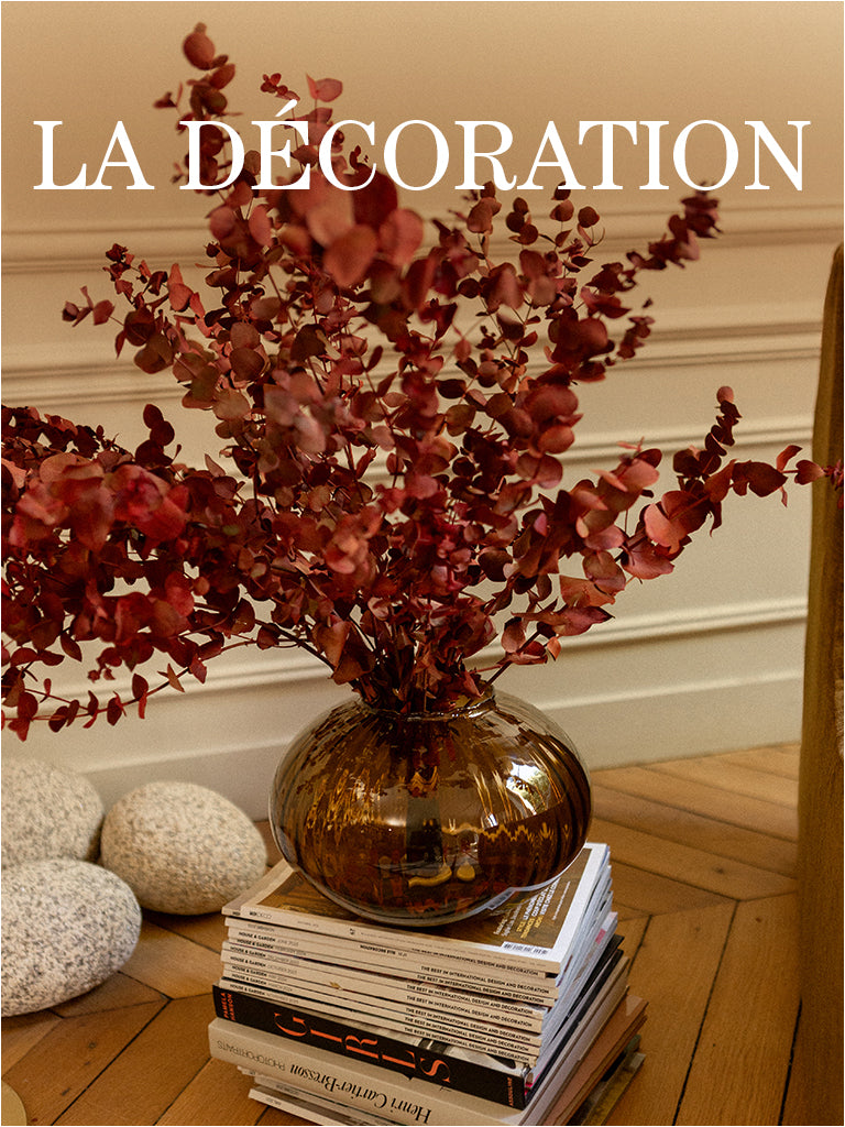visu_page_maison_deco_FR_160c6fc7-fc7d-45d9-b900-e99aa6e7e551