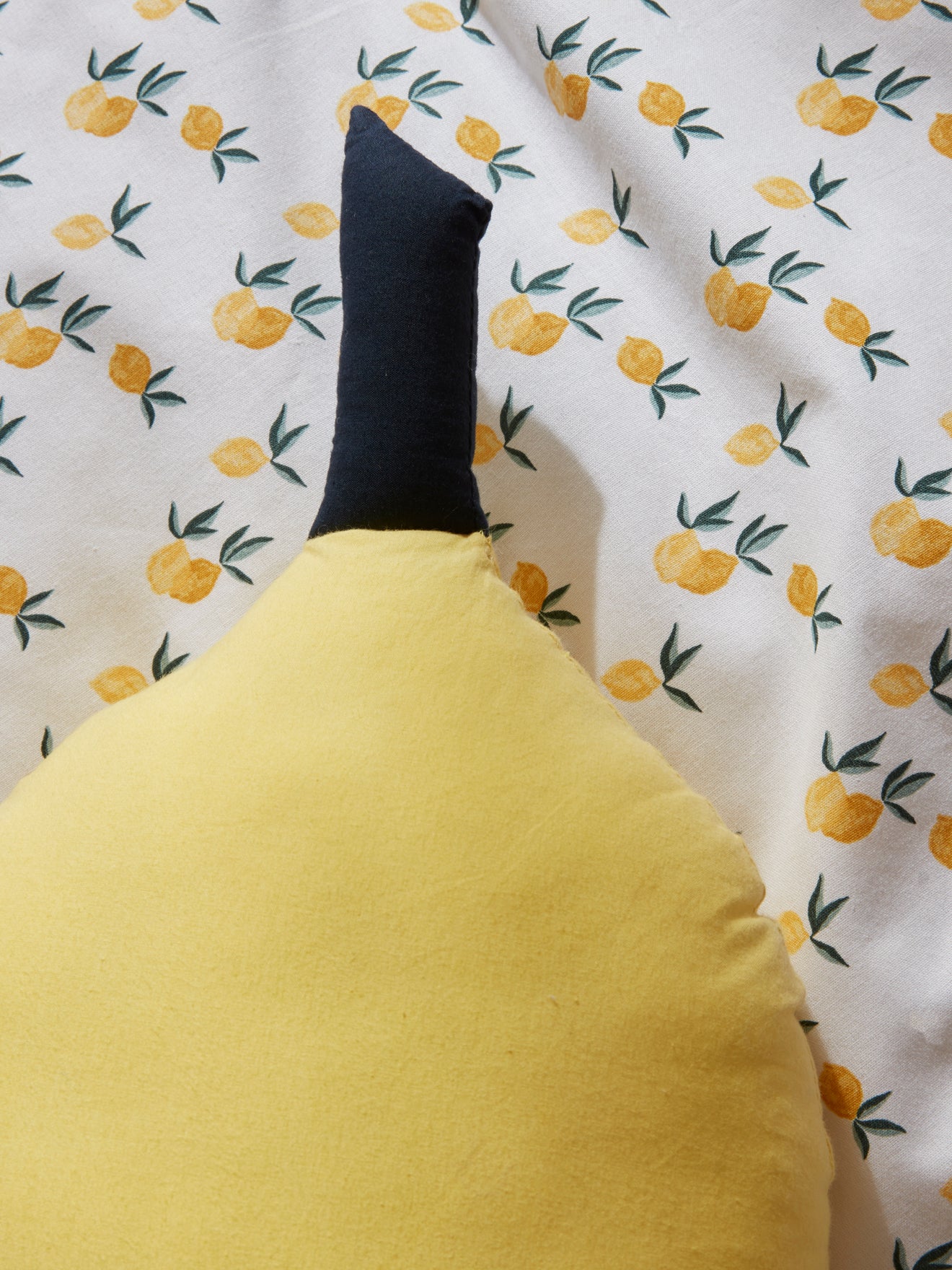 Coussin fruit en coton